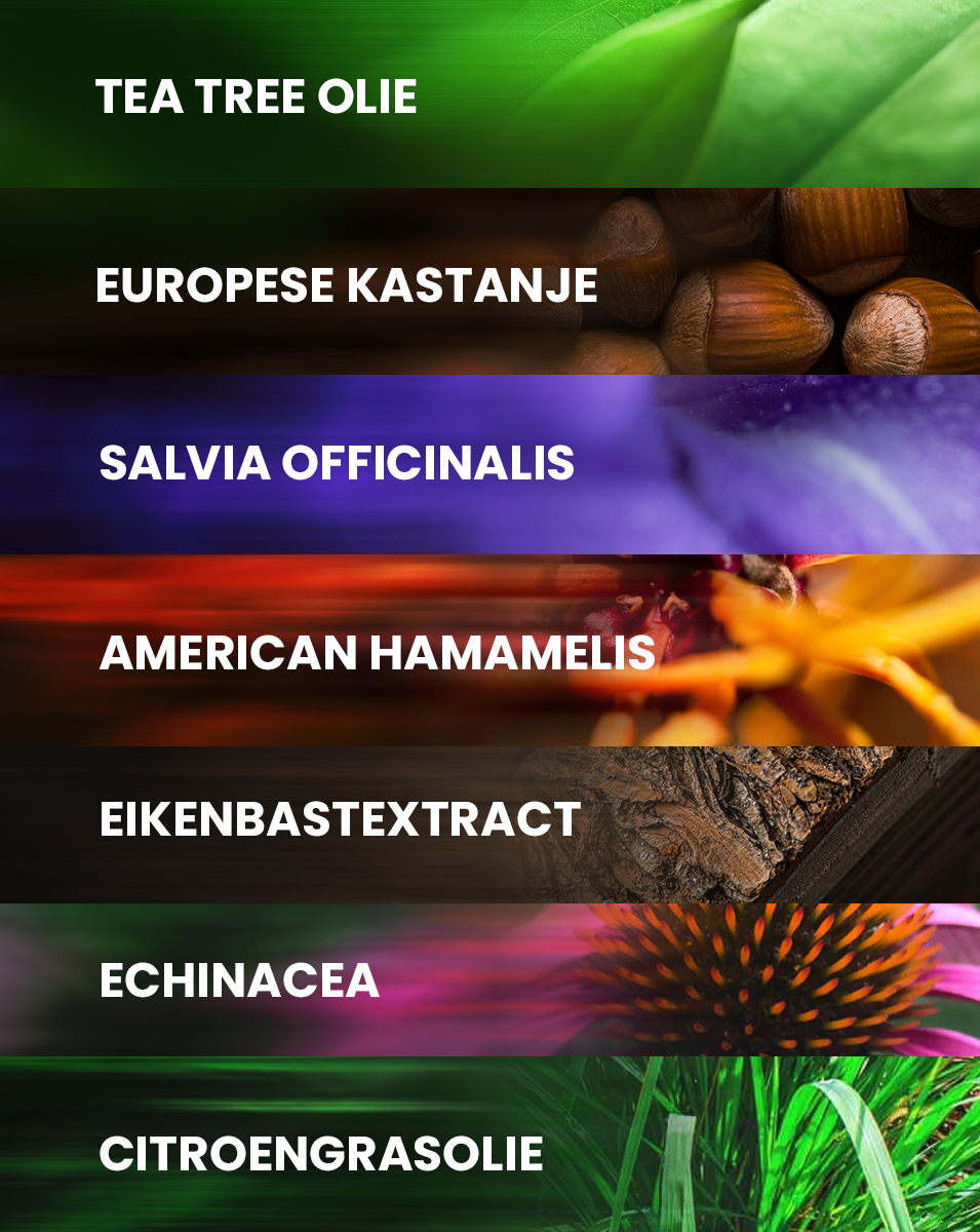 De krachtige ingrediënten en 100% natuurlijke formule